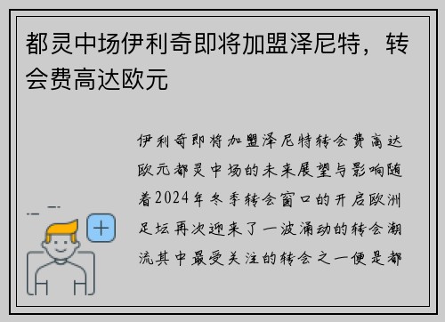 都灵中场伊利奇即将加盟泽尼特，转会费高达欧元